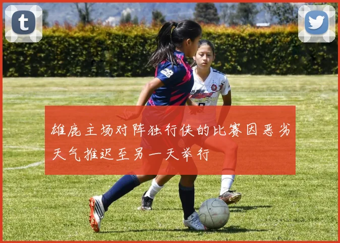 雄鹿主场对阵独行侠的比赛因恶劣天气推迟至另一天举行