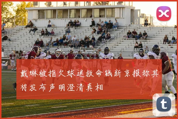戴琳被指欠球迷救命钱新京报称其将发布声明澄清真相