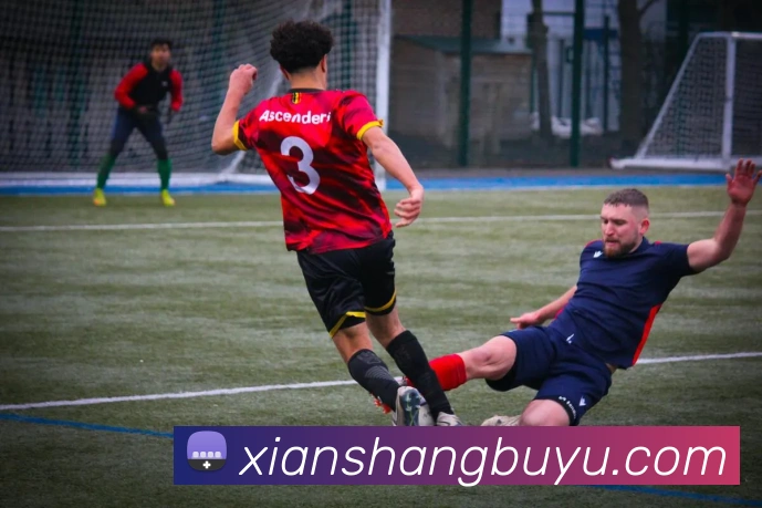 多媒体互动体验